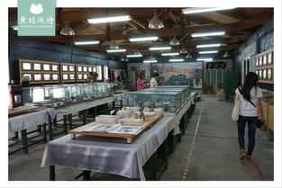 廠文青的時(shí)光之旅 在臺(tái)東糖廠文創(chuàng)展覽與DIY中重拾文藝創(chuàng)作